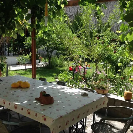 In Guest - Maro 2 Afytos