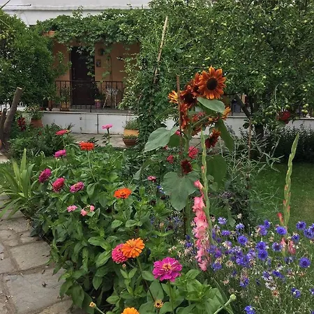 Pensjonat In Guest - Maro 2 Afytos